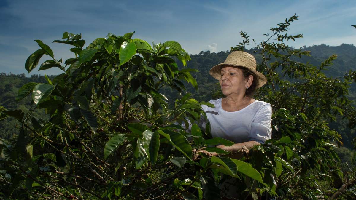 How one company a future for coffee -