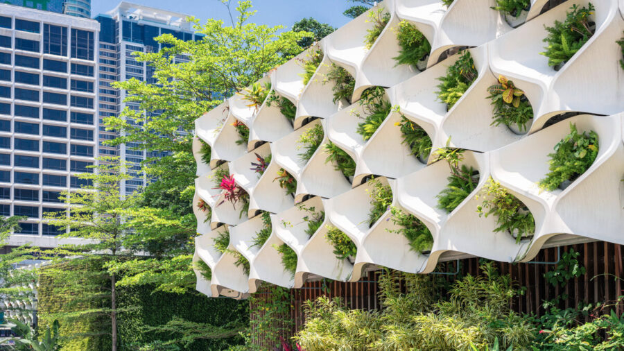 Vertical Garden In Hong Kong