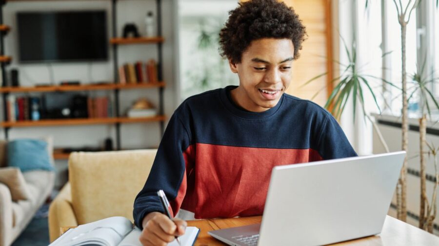 Student Completing A Virtual Work Experience Placement