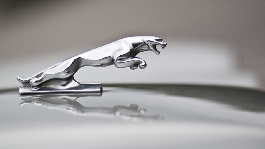 Jaguar Car Bonnet Ornament