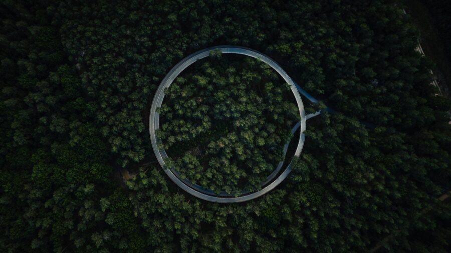 Aerial View Of A Circular Road In A Forest